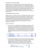 Productos y o servicios de la empresa