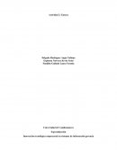 Innovación tecnológica empresarial en sistemas de información gerencia