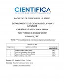 Permeabilidad de la membrana citoplasmática (Ósmosis)