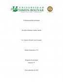 Tridimensionalidad ontológica