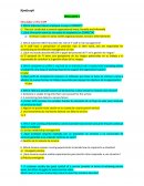 Procesos. Simulador 2 ITIL 4 MP