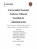 Plan de negocio de la marca Looky-Nails, que ofrece servicios a domicilio, en distritos de Lima Moderna