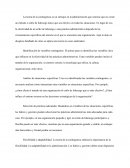 La teoría de la contingencia