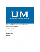 Trabajo de investigación. Síndrome de Parkinson