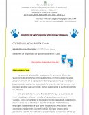 Proyecto de articulacion nivel inicial y primaria