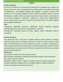 Informe de auditoria