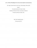 El marco metodológico de un proyecto de evaluación curricular interna