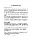 Consultoría bienestar digital. How the company works