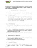 Plan de negocios: Cuyes en pie de calidad comercial para el mercado de chota de la “asociación las luchadoras de nuevo oriente”