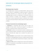 Aplicación de metodologías ligeras de gestión de proyectos