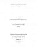 Actividad 8. Caso práctico consumidor