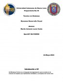 Técnico en Sistemas. Resumen Desarrollo Visual