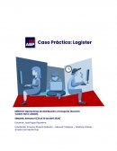 Informe de empresa Logister