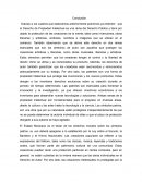 Derecho de Propiedad Intelectual. Conclusión