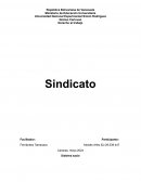 El sistema de recursos humanos