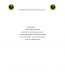 Conceptos básicos de la farmacología