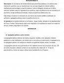 Micropavimento. Equipo