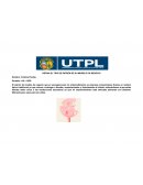 Patrón de modelo de negocio