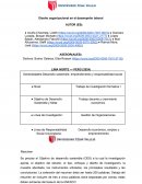 Diseño organizacional en el desempeño laboral