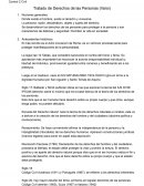 Tratado de Derechos de las Personas (Varsi)