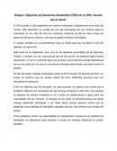 Ensayo: Objetivos de Desarrollo Sostenible (ODS) de la ONU “Acción por el clima”