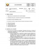 Acta de reunión: consejo académico