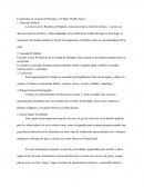 Ecoturismo en Victoria de Durango y El Salto, Pueblo Nuevo