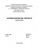 Sistematización del proyecto (primer informe)