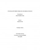 Investigación sobre teorias del desarrollo humano. Teoría del desarrollo psicosexual: Freud
