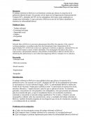 El Trabajo informal en Bolivia