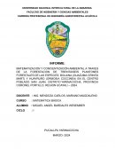 Matematización y concientización ambiental a través de la forestación