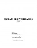 Investigación SAP R/3