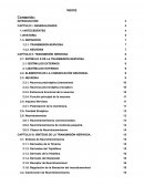 Bioquímica de la transmisión nerviosa