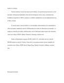 Soporte de proyectores SusPro S.A