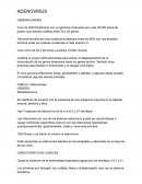 Guia virologia, Adenovirus