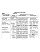 Planificación variable Jugando a descubrir