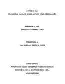 Evaluación de activos de una organización - ciberseguridad