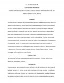 El acoso escolar. Estrategias de prevención