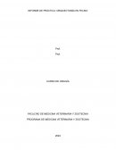 Informe de práctica: Orquiectomía en felino