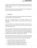 Análisis de las posibles acciones a realizar al objeto de cobrar la deuda impagada por parte de la empresa alemana Sanitarius Alemanes Gmb
