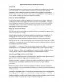 Calentamiento global: Un desafío para el futuro