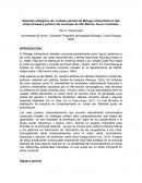 Aspectos etológicos del cuidado parental de Milvago chimachima en dos áreas (Urbana y potrero)