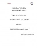 Informe final del grupo