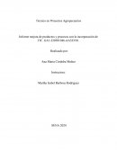 Informe mejora de productos y procesos con la incorporación de TIC