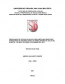 Prevalencia de staphylococcus aureus metilino resistente en muestras de hisopado nasal en trabajadores de salud del hospital