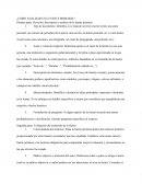 ¿Cómo analizar una fuente primaria?