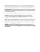 Glosario: pulmones