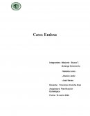 Caso: Endesa