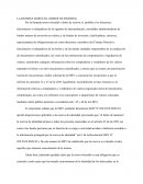 La reserva bursátil (Deber de reserva)