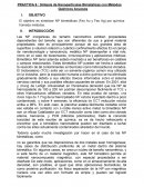 Práctica 6 : Síntesis de Nanopartículas Bimetálicas con Métodos Químicos Acuosos